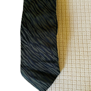Express Silk Tie